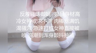 视频调教骚母狗