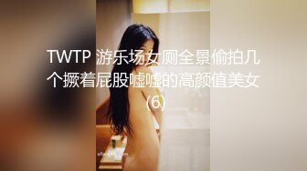 TWTP 游乐场女厕全景偷拍几个撅着屁股嘘嘘的高颜值美女 (6)