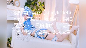 小母狗再次被干的浪叫