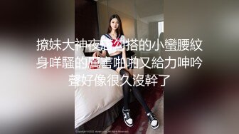 Al&mdash;久保史绪里 女仆诱惑