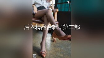 后入精品合辑，第二部