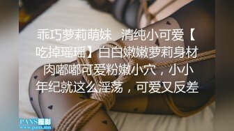 商场厕所偷拍来拖地的长裙美少妇