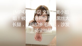 04的luolita裙妹妹.开始还真羞涩慢慢调教吧-空姐