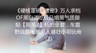 《硬核重磅✅泄密》万人求档OF黑白通吃极品媚黑气质御姐【我是Z】私拍全套，车震野战露出被黑人健壮小哥玩肏 (2)