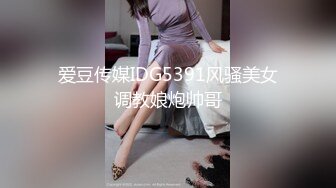 麻豆传媒 msd-0067 千总出狱後的复仇-袁子仪