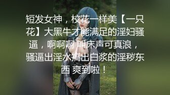 无套女上位-屁股-露脸-叫声-熟妇-翘臀-搭讪-做爱