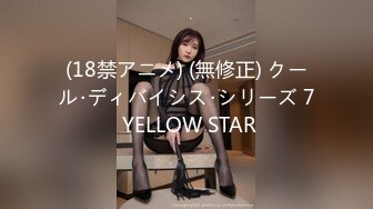 (18禁アニメ) (無修正) クール･ディバイシス･シリーズ 7 YELLOW STAR