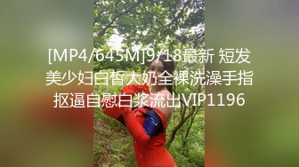 ★☆《究极核弹✅泄密》★☆九头身极品巨乳OnlyFans反差女神Npxvip私拍，顶级骚货专用精盆细腰丰乳肥臀，男人泄欲神器 (4)