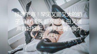 [MP4/ 2.56G] 丰乳肥臀网红脸美女4小时道具自慰诱惑，近距离特写揉捏肥逼，掰穴假屌抽插展示翘臀