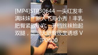 内射蜜桃臀女友，下一步3P