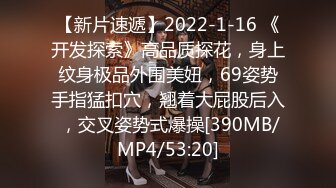 【新片速遞】2022-1-16 《开发探索》高品质探花，身上纹身极品外围美妞，69姿势手指猛扣穴，翘着大屁股后入 ，交叉姿势式爆操[390MB/MP4/53:20]