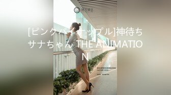 [ピンクパイナップル]神待ちサナちゃん THE ANIMATION