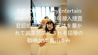 (HD1080P)(BabyEntertainment)(dber00136)潜入捜査官超処刑 Part-1-正体を暴かれて滅茶苦茶にされる屈辱の敏感女体 夏川うみ