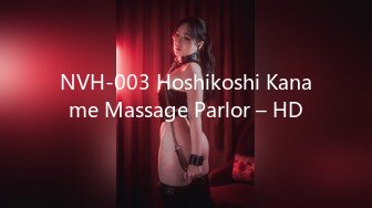 NVH-003 Hoshikoshi Kaname Massage Parlor – HD