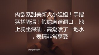 独乳风骚--诺宝宝 被网友惹怒，东北娘们不好欺负呀，干架回去再表演，这乳舞颜值无人能及，自慰大秀，爱笑的女孩挣钱容易！1