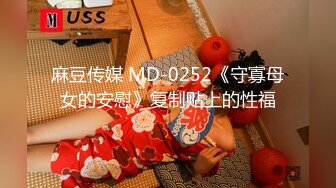 麻豆传媒 MD-0252《守寡母女的安慰》复制贴上的性福