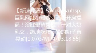 麻豆传媒 MD-0308 前任4之英年早婚-偷情旧爱强上贱婊