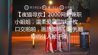 【夜猫寻欢】2000网约兼职小姐姐，温柔爱笑甜妹一枚，口交啪啪，画质清晰，粉乳翘臀俏佳人被干爽