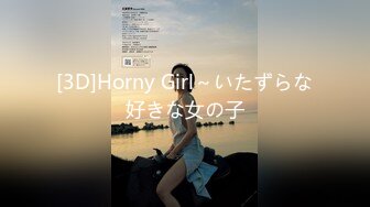 [3D]Horny Girl～いたずらな好きな女の子