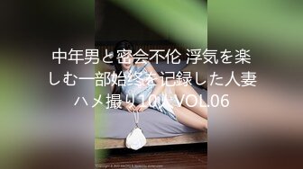 中年男と密会不伦 浮気を楽しむ一部始终を记録した人妻ハメ撮り10人VOL.06