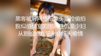 【91CM-163】夫人饶了我吧 #林凤娇