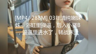 STP29047 重磅作品极品巨乳女神【黎菲儿】午后情色时光~大奶子甩到起飞