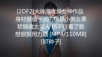 [2DF2]大神两次操女神作品 身材颜值一流的极品小美女柔软销魂太勾人 挡不住看了就想狠狠用力插 [MP4/110MB][BT种子]