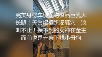 国产CD系列琳儿双黑丝女仆伪娘激情互啪