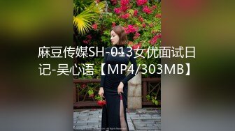 麻豆传媒SH-013女优面试日记-吴心语【MP4/303MB】