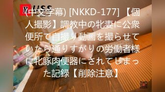 (中文字幕) [NKKD-177] 【個人撮影】調教中の牝妻に公衆便所で自撮り動画を撮らせていたら通りすがりの労働者様に牝豚肉便器にされてしまった記録【削除注意】