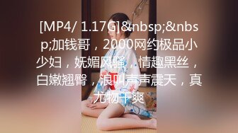 [MP4/850MB]2023-12-19【模特写真拍摄丶探花】约妹子私拍，翘起屁股掰穴，多毛骚逼