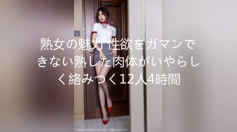 熟女の魅力 性欲をガマンできない熟した肉体がいやらしく絡みつく12人4時間