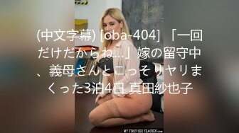 性感女神楊晨晨 魅惑繽紛浪漫古典韻味旗袍現代經典超舞蕾絲吊襪[73P/609M]