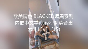 欧美情色 BLACKED媚黑系列 内嵌中文字幕系列 超清合集六【15v】 (15)