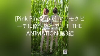 [Pink Pineapple] ヤリモクビーチに修学旅行で！！ THE ANIMATION 第3話