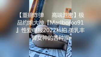 【重磅炸弹❤️高端泄密】极品约炮大神『Marlboroo91』性爱电报2022私拍 美乳丰臀女神的各种操