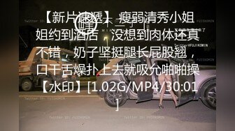 欧美情色 BLACKED媚黑系列 内嵌中文字幕系列 超清合集八【17v】 (1)