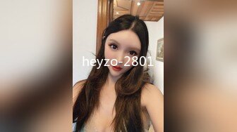 heyzo-2801